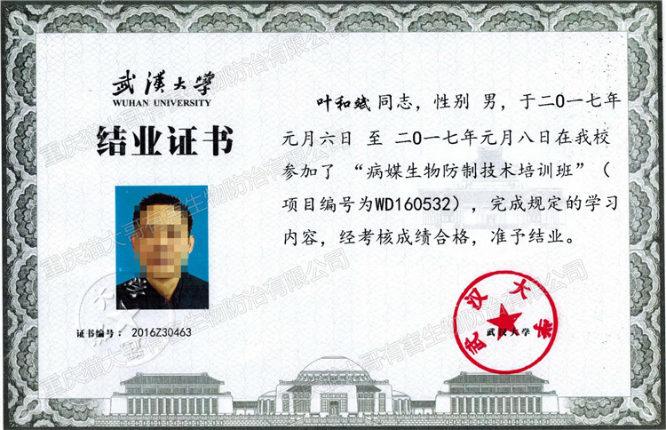 2017年1月8日武漢大學(xué)結(jié)業(yè)證書(shū)